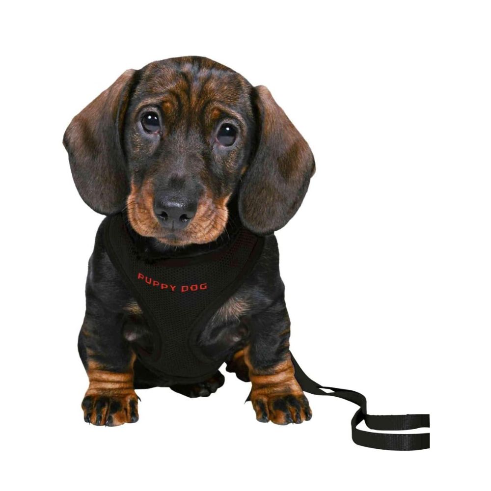 Trixie Pettorina Morbida con Guinzaglio per Cuccioli Colore Nero 26-34cm per Cani