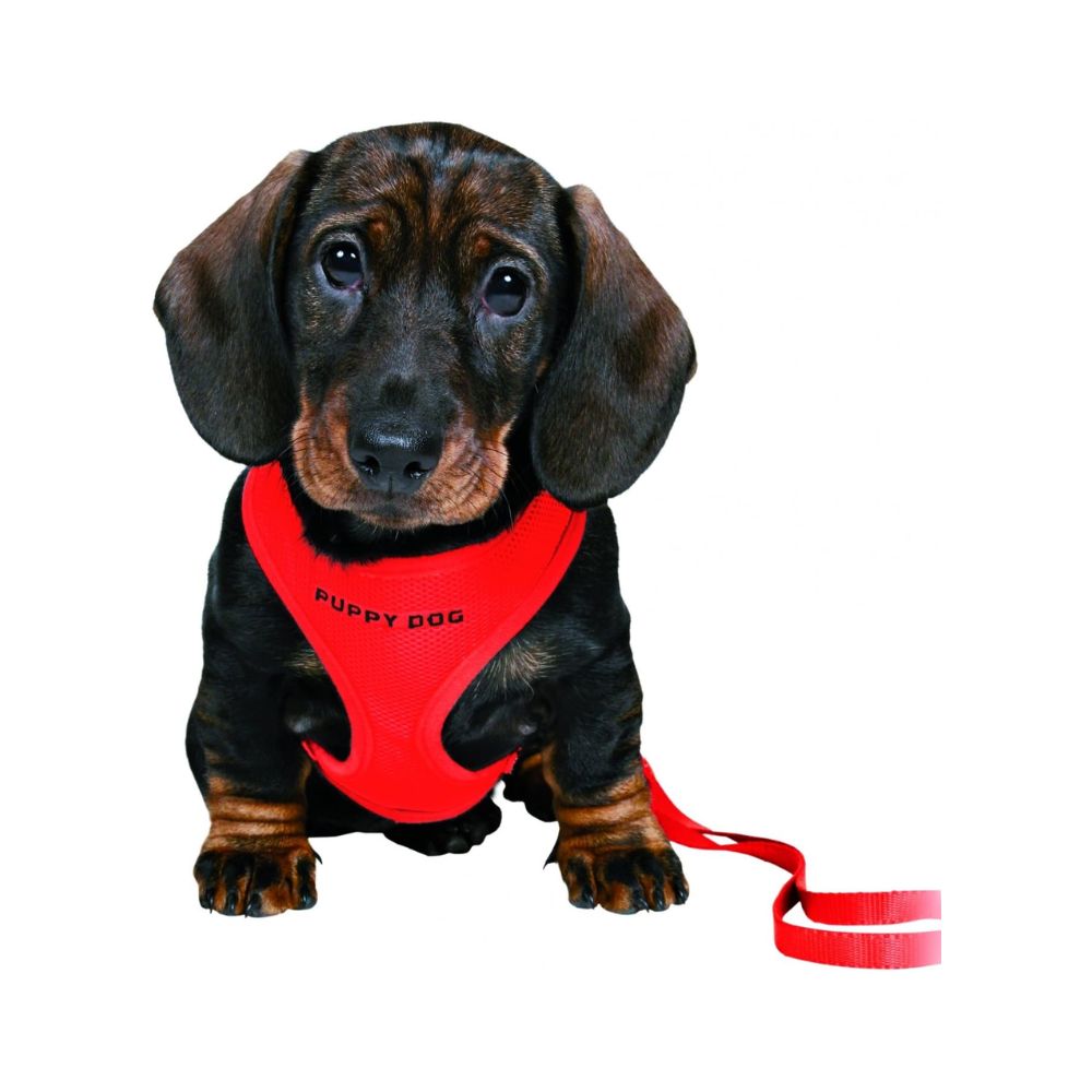 Trixie Pettorina Morbida con Guinzaglio per Cuccioli Colore Rosso 26-34cm per Cani