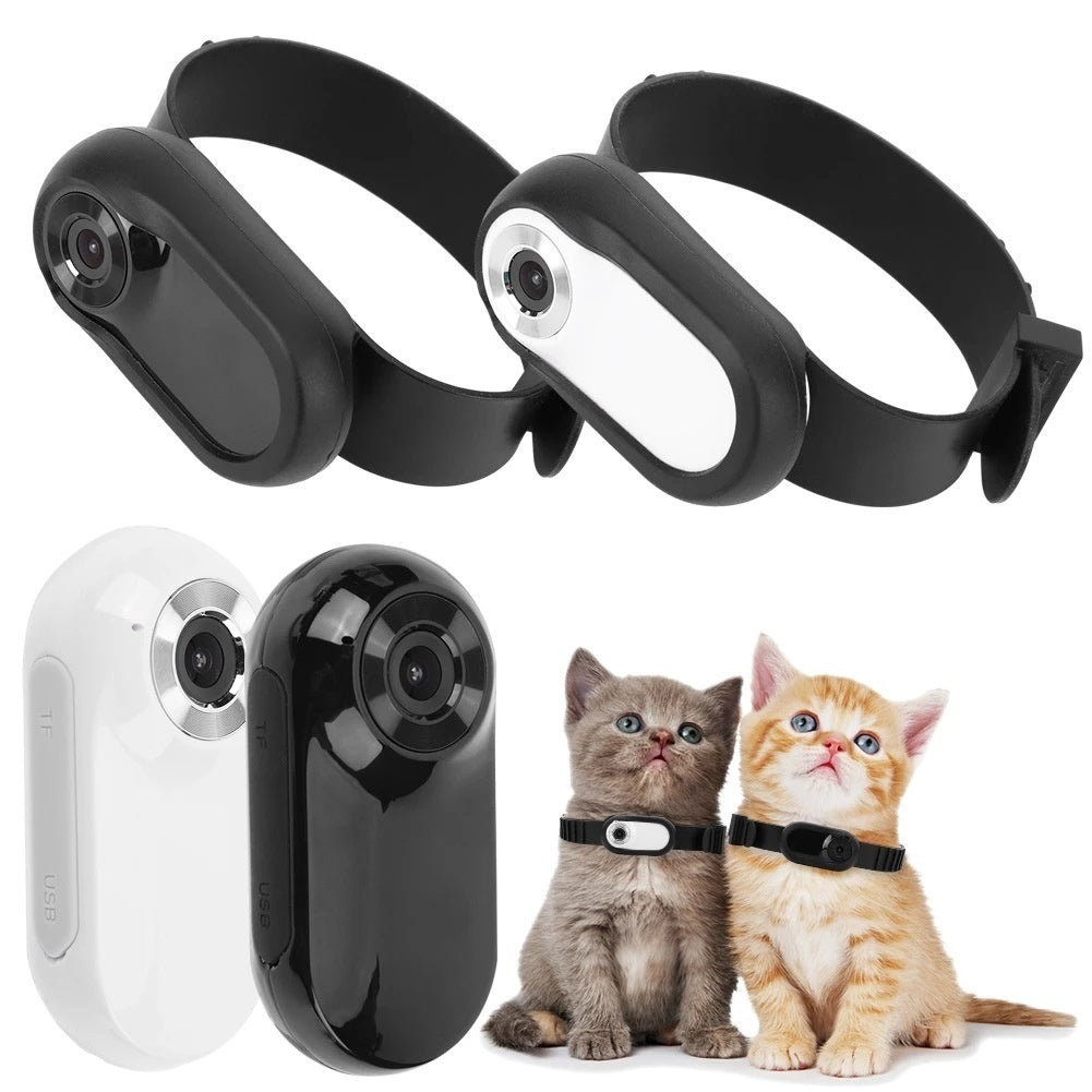 Telecamera Mini per Collare Animali - Videocamera HD per Cani e Gatti