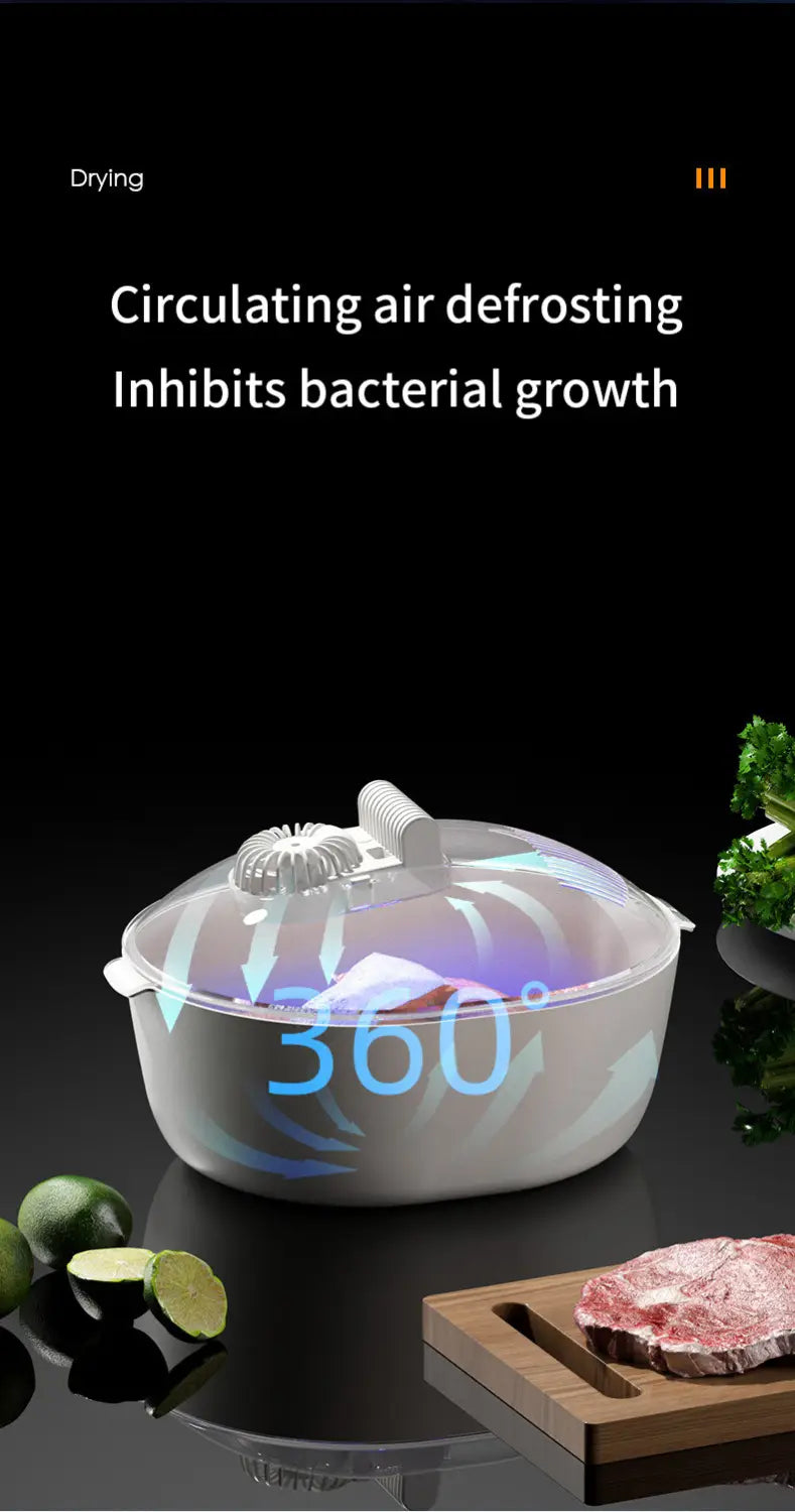 Scongelatore per la conservazione alimentare della cucina domestica Macchina per lo scongelamento