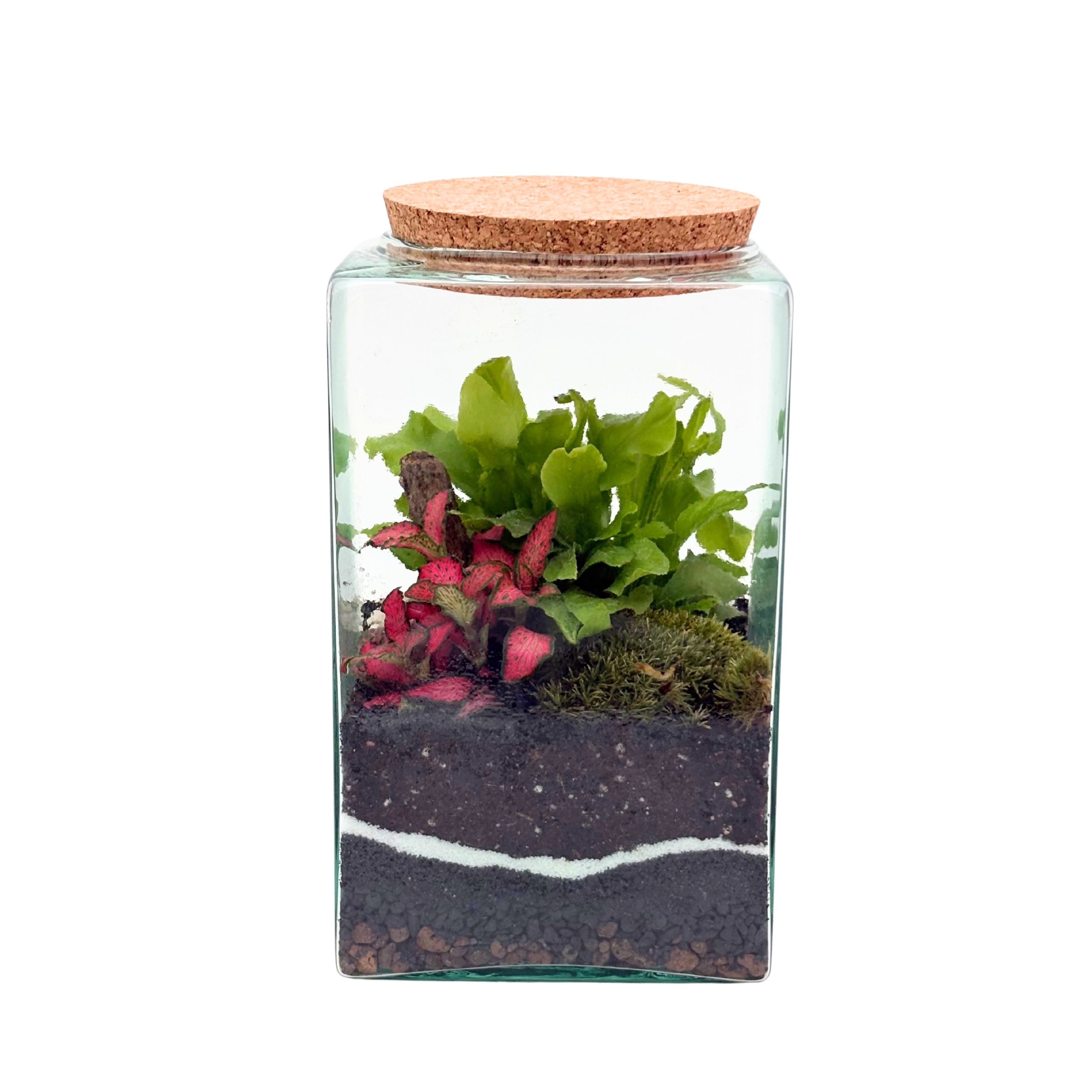 Kit Terrarium Quadrato 12×20 cm – Senza Piante | Made in Italy