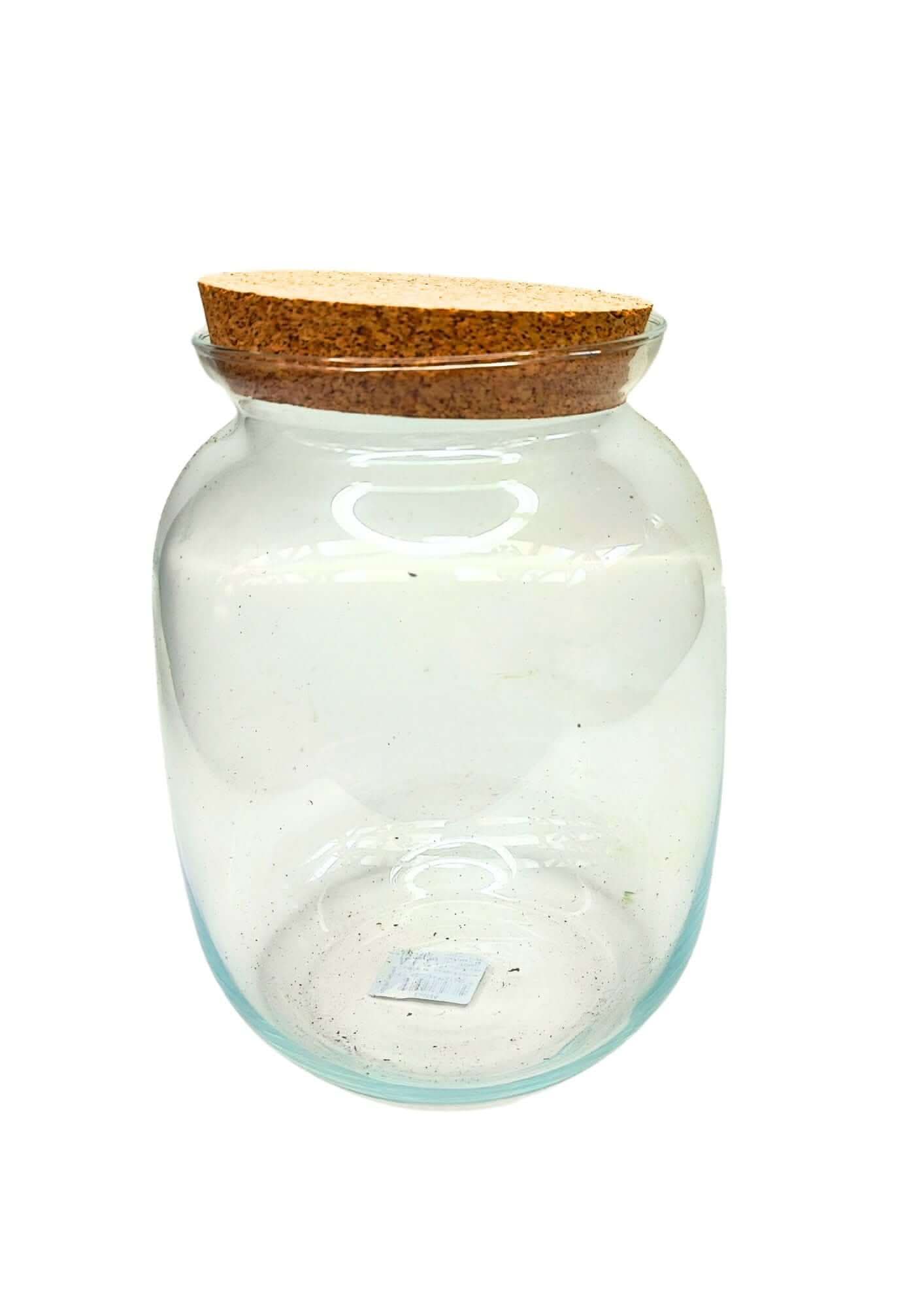 Contenitore Medio in Vetro Soffiato per Terrarium