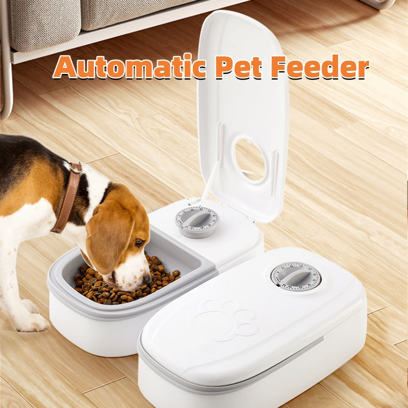 Distributore Automatico di Cibo per Cani e Gatti - Timer Programmabile con Ciotola Inox