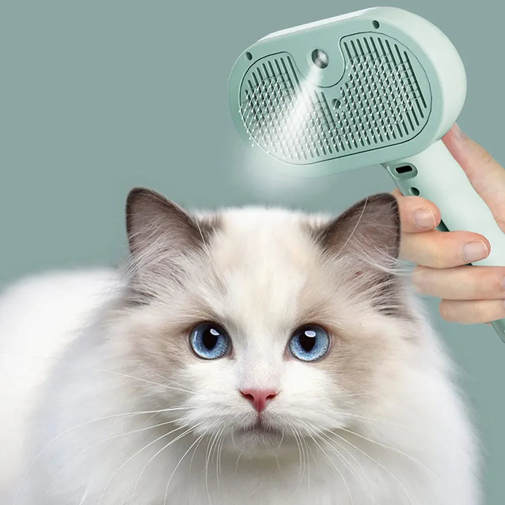 Pettine per capelli spray per animali domestici, spazzola per la pulizia, toelettatura per gatti, accessori per cani, strumenti, umidificatore a nebbia d'acqua, pettine, prodotti per animali domestici