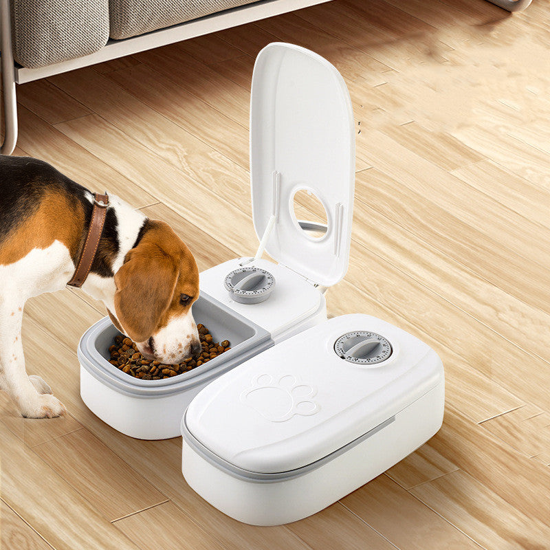 Distributore Automatico di Cibo per Cani e Gatti - Timer Programmabile con Ciotola Inox