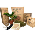 Kit Kokedama Fai da te Philodendro White Wave  Tutto incluso