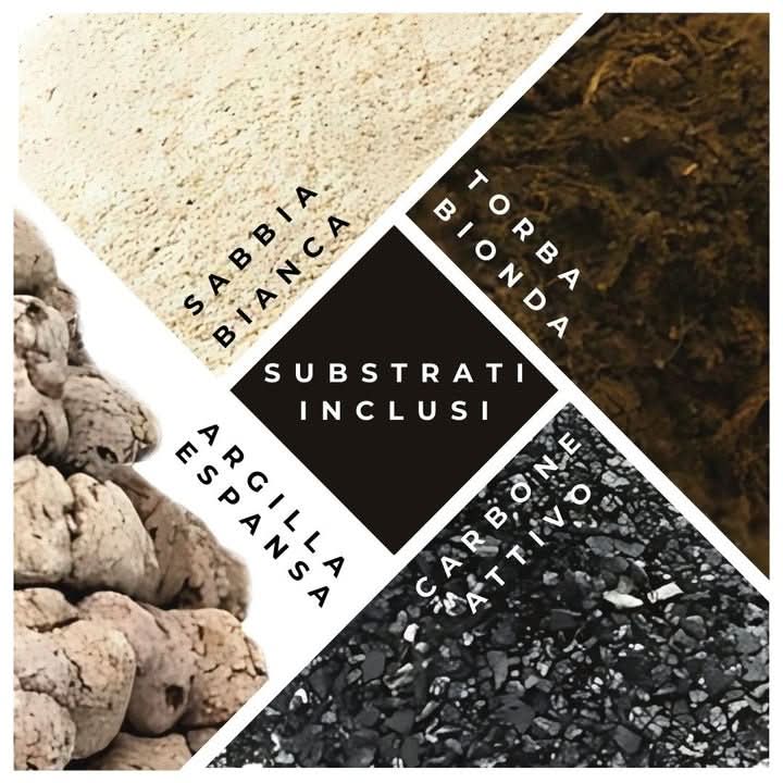 Kit Terrarium Geometrico Fai Da Te Beatrice Piante grasse