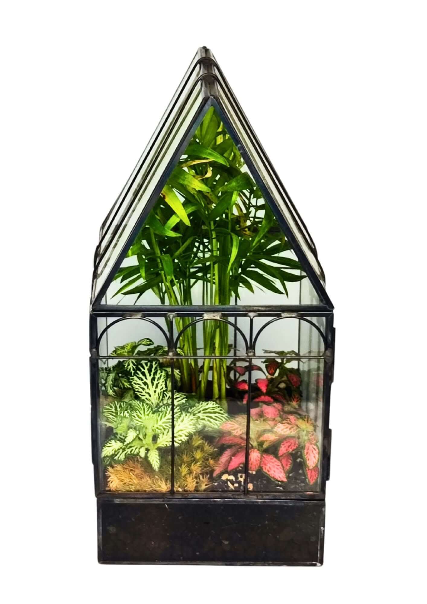 Kit terrarium geometrico fai da te con 4 piantine 2KITTERROM63