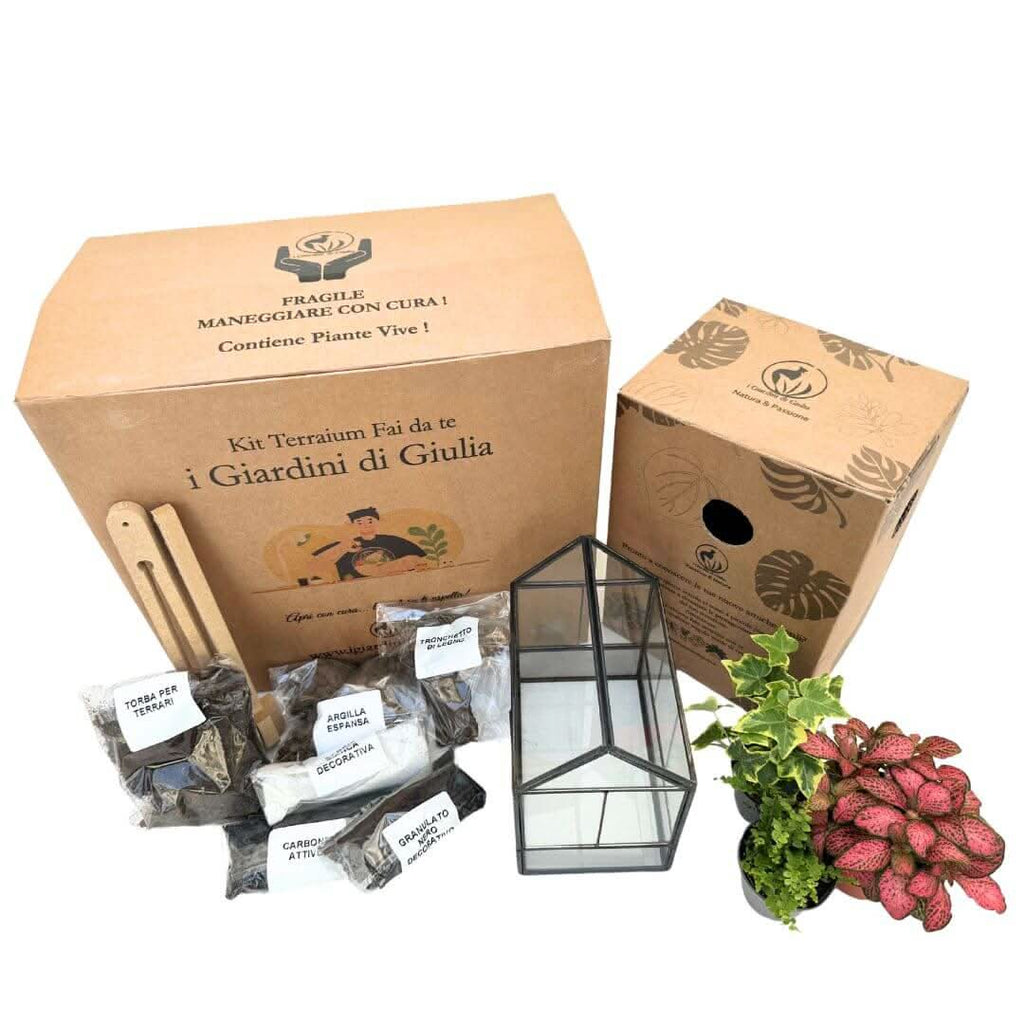 Kit Terrarium Geometrico Fai Da Te Monica | Crea il Tuo Giardino da Interno