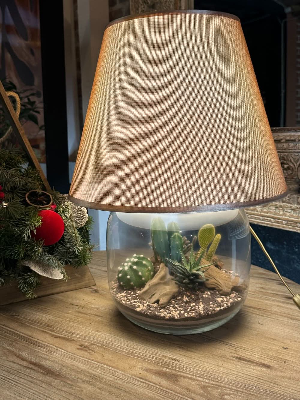 Kit Terrarium Lamparium Grande con piante grasse