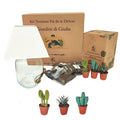 Kit Terrarium Lamparium Medio con piante grasse