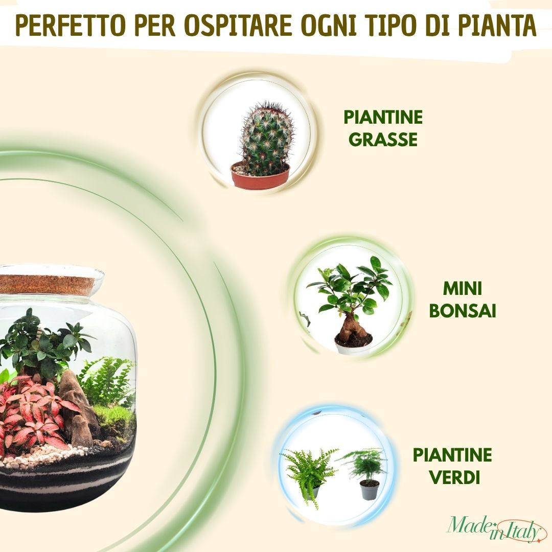 Kit Terrarium Quadrato 12×20 cm – Senza Piante | Made in Italy