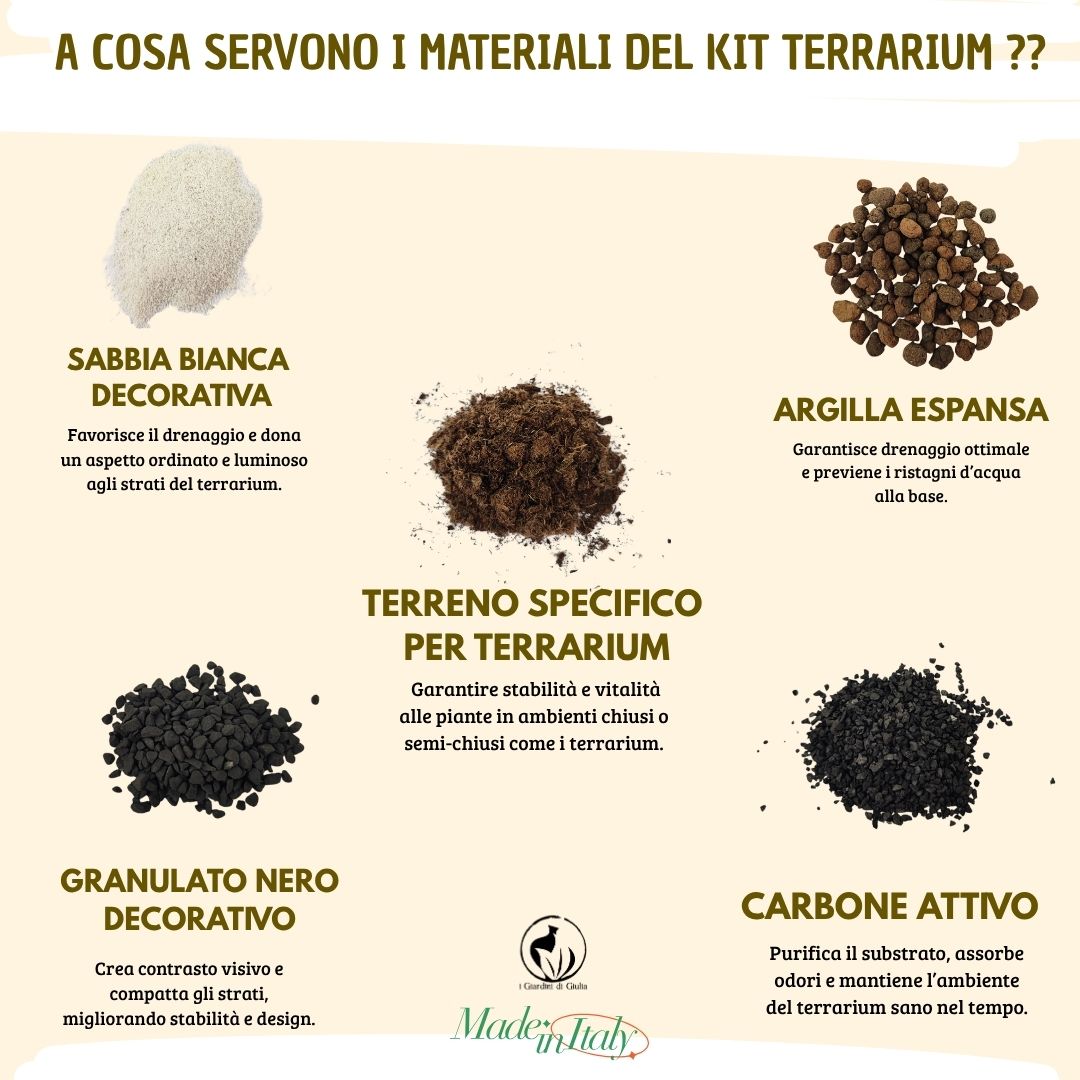 Kit Terrarium Quadrato 12×20 cm – Senza Piante | Made in Italy