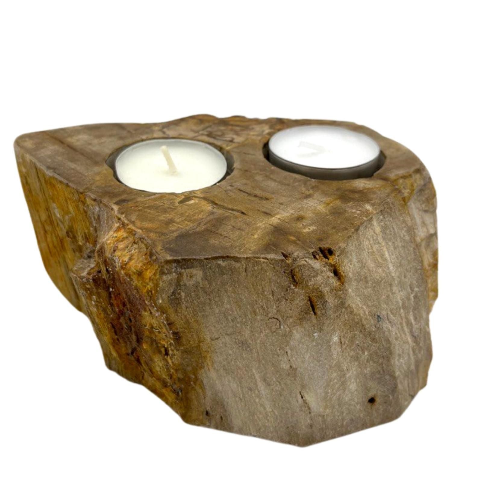 Petrified Wood Candle Holder - Double - Petrified Wood Candle Holders