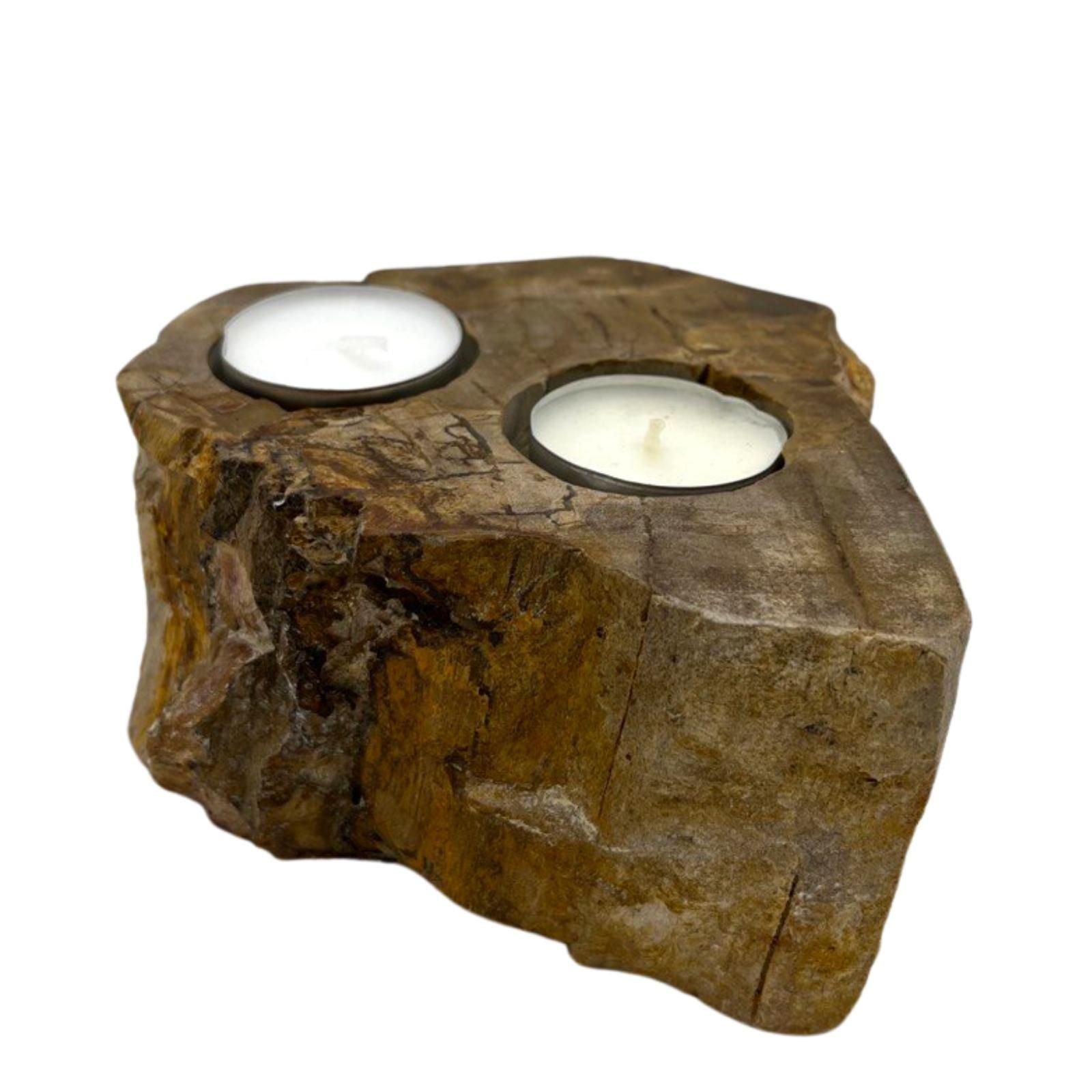 Petrified Wood Candle Holder - Double - Petrified Wood Candle Holders