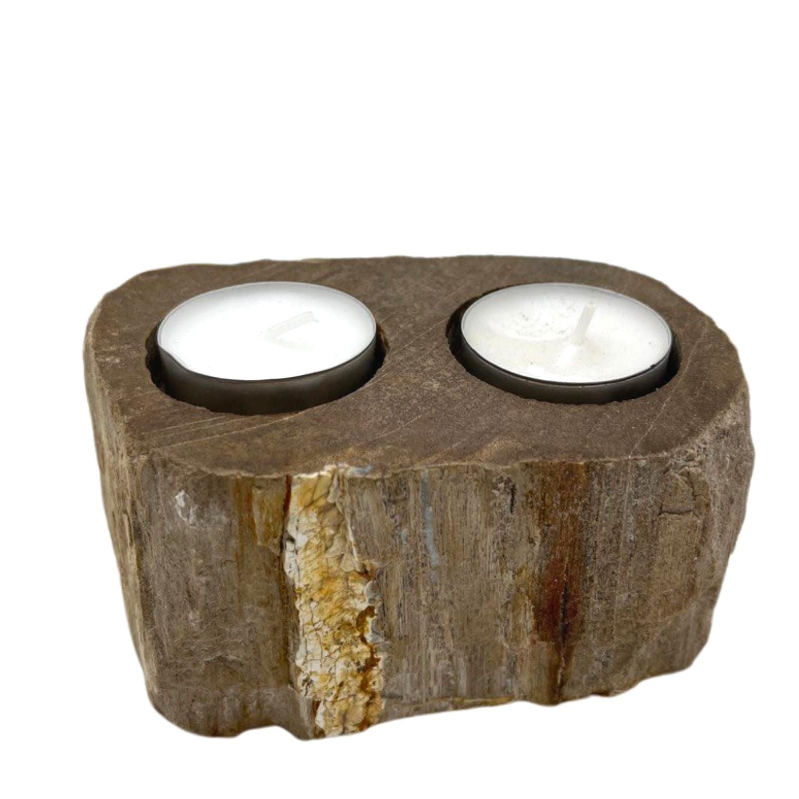 Petrified Wood Candle Holder - Double - Petrified Wood Candle Holders