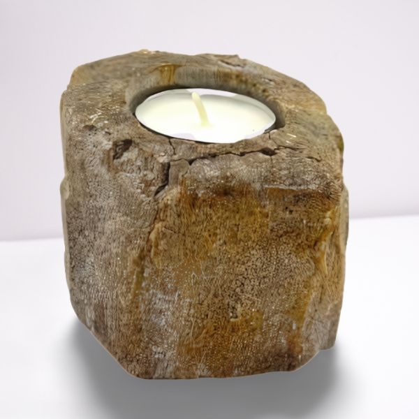 Petrified Wood Candle Holder - Single Low - Petrified Wood Candle Holders