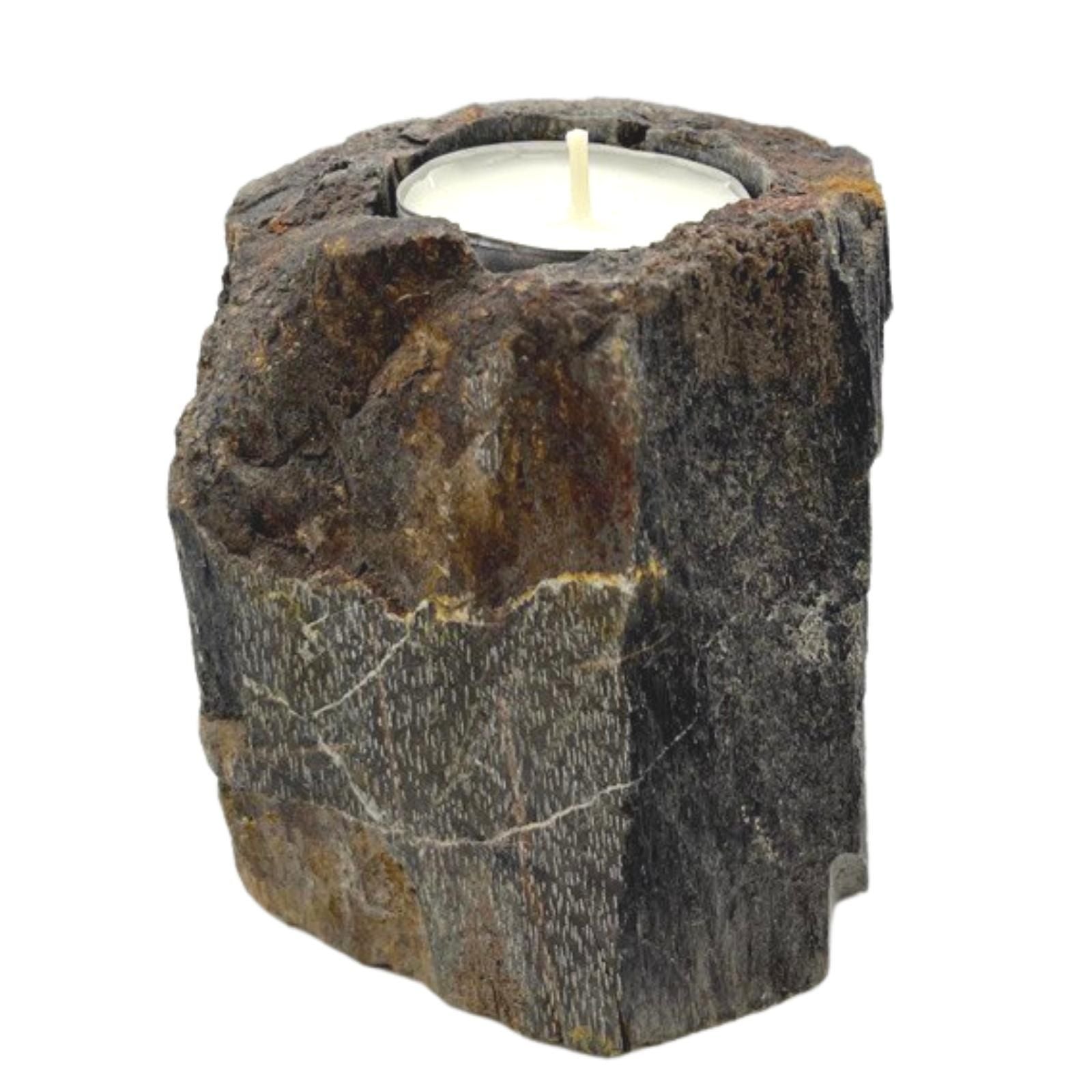 Petrified Wood Candle Holder - Single Low - Petrified Wood Candle Holders