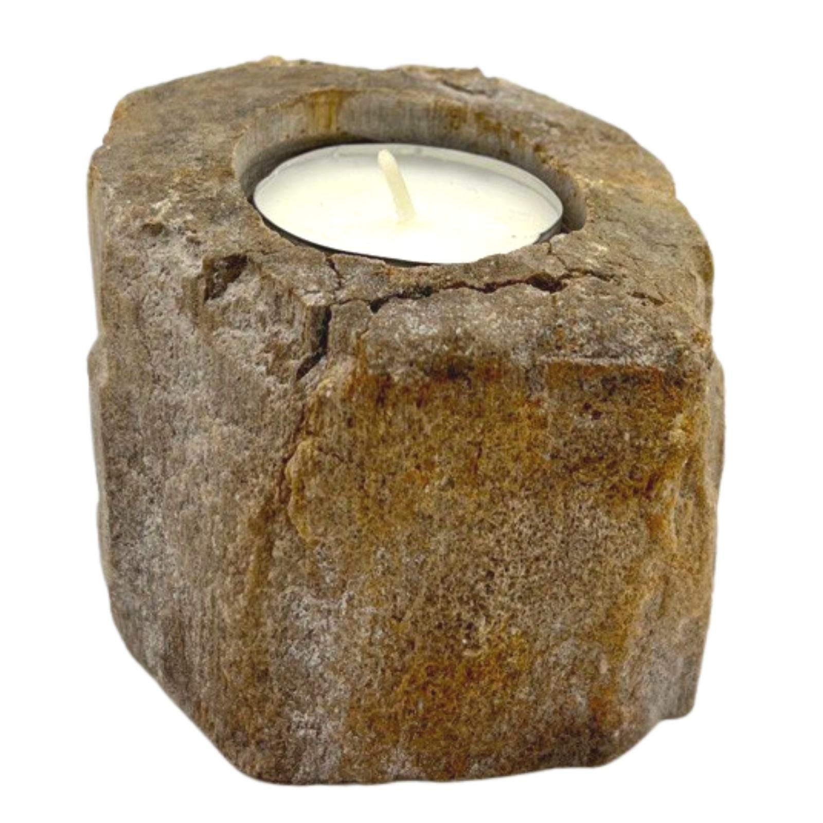 Petrified Wood Candle Holder - Single Low - Petrified Wood Candle Holders