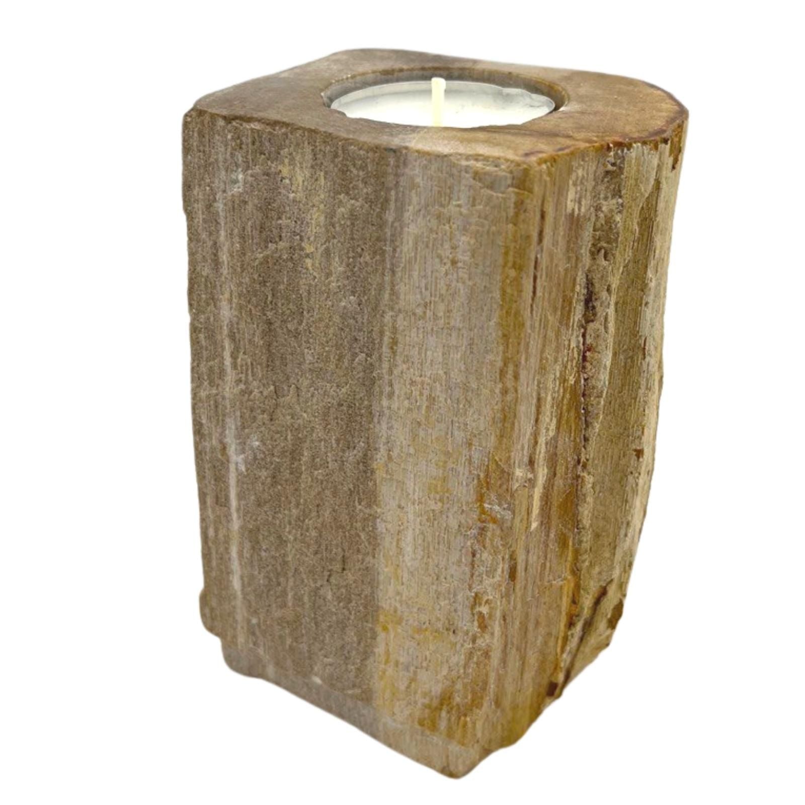 Petrified Wood Candle Holder - Single Tall - Petrified Wood Candle Holders