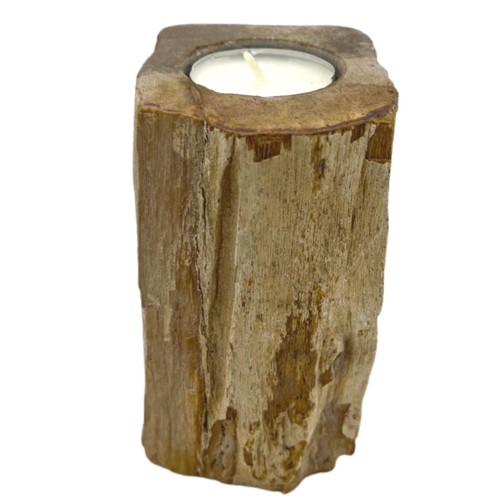 Petrified Wood Candle Holder - Single Tall - Petrified Wood Candle Holders