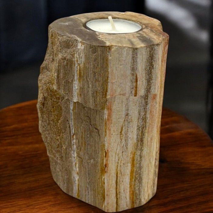 Petrified Wood Candle Holder - Single Tall - Petrified Wood Candle Holders