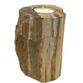 Petrified Wood Candle Holder - Single Tall - Petrified Wood Candle Holders