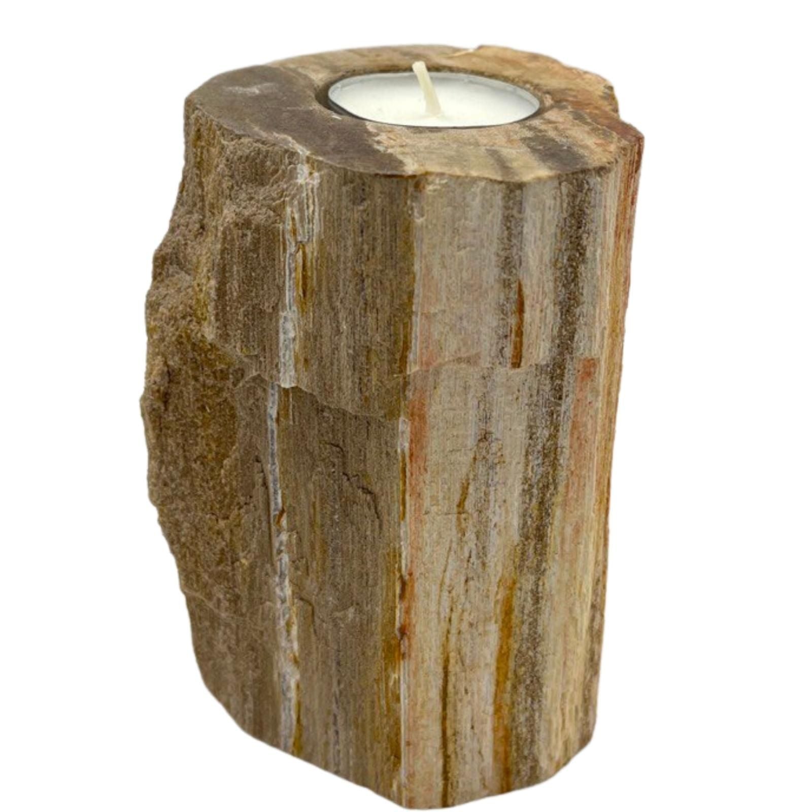 Petrified Wood Candle Holder - Single Tall - Petrified Wood Candle Holders