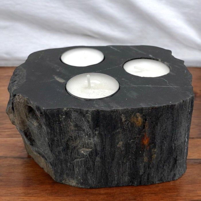 Petrified Wood Candle Holder - Triple - Petrified Wood Candle Holders