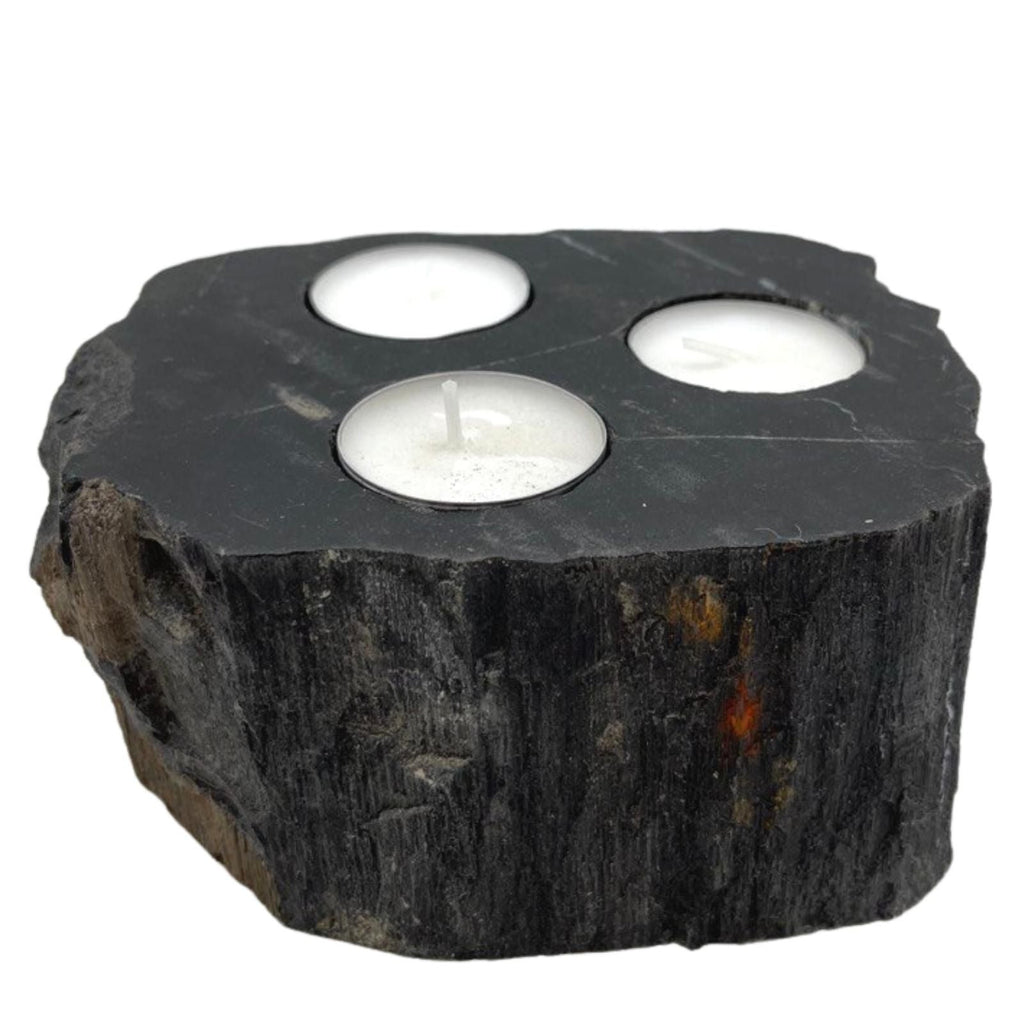 Petrified Wood Candle Holder - Triple - Petrified Wood Candle Holders