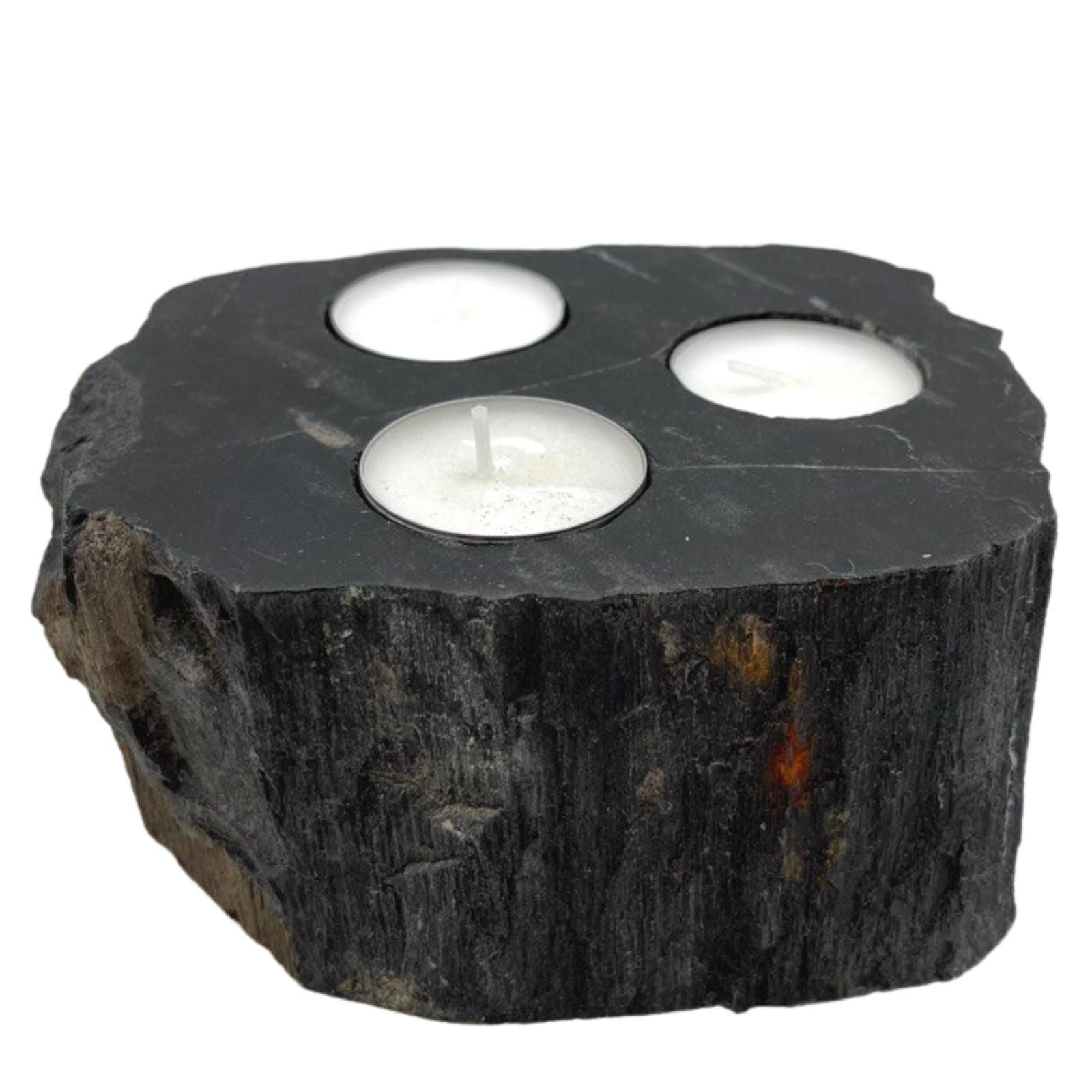 Petrified Wood Candle Holder - Triple - Petrified Wood Candle Holders