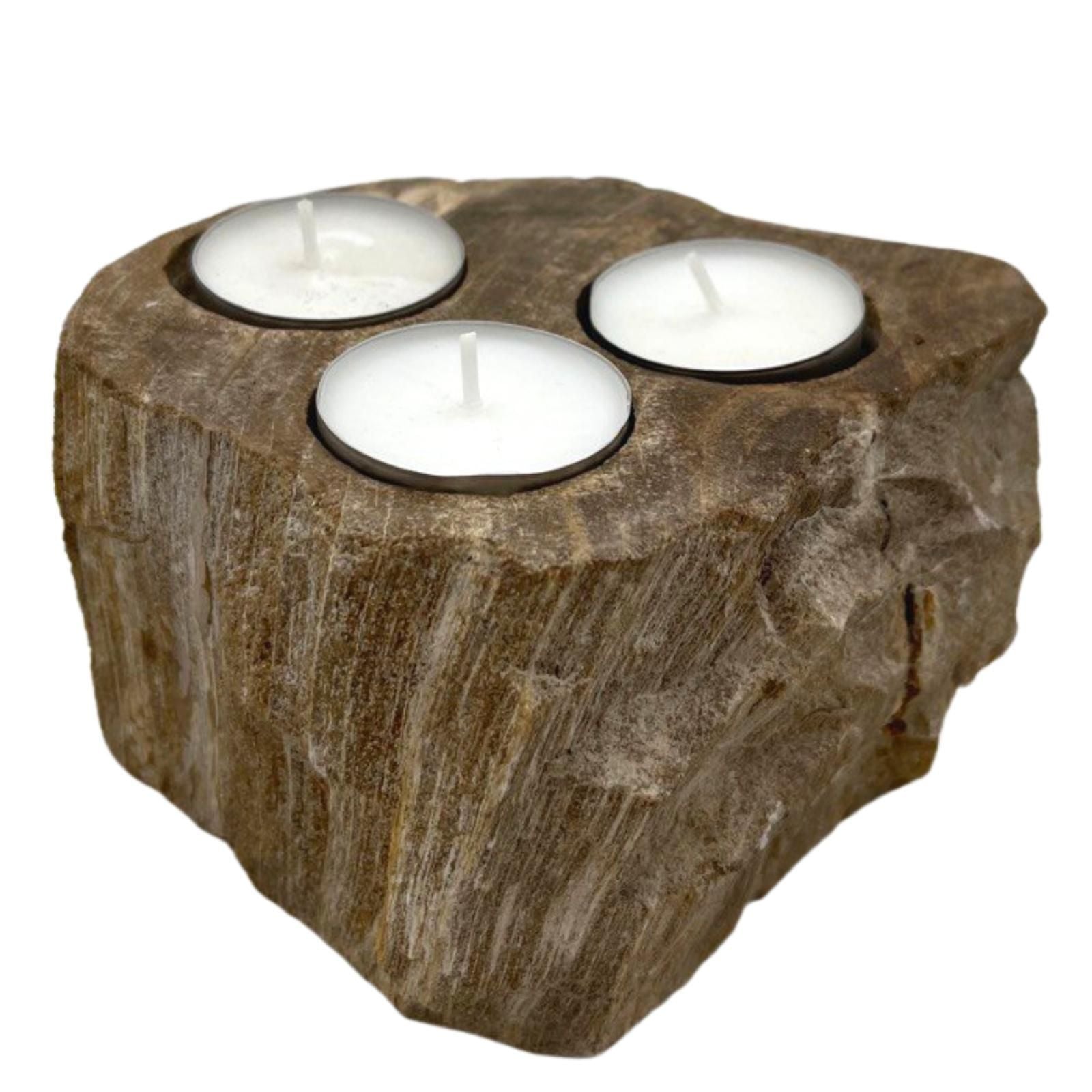 Petrified Wood Candle Holder - Triple - Petrified Wood Candle Holders