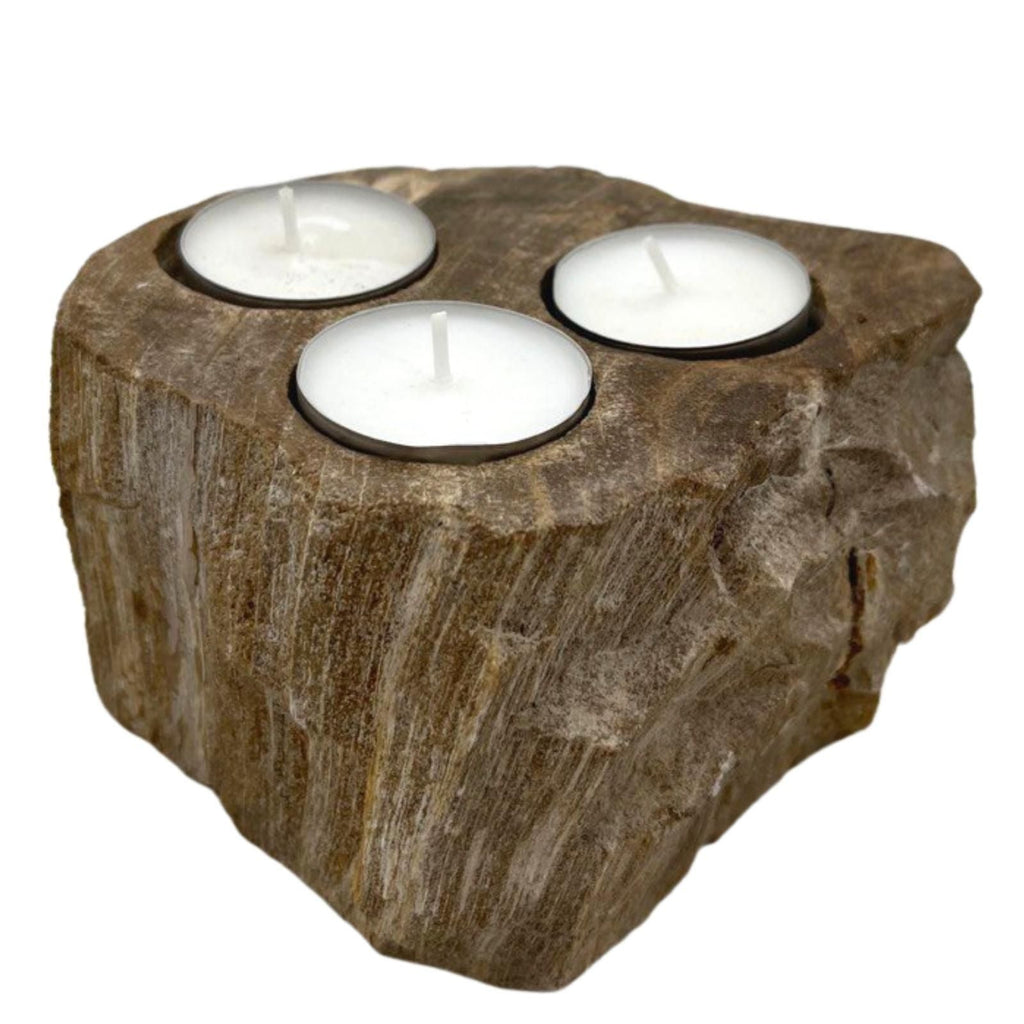 Petrified Wood Candle Holder - Triple - Petrified Wood Candle Holders