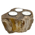 Petrified Wood Candle Holder - Triple - Petrified Wood Candle Holders
