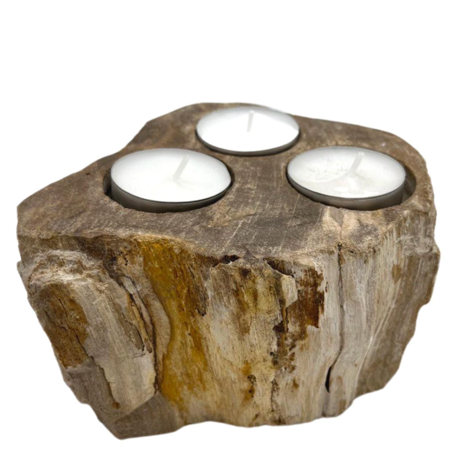 Petrified Wood Candle Holder - Triple - Petrified Wood Candle Holders