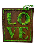 Quadro muschio stabilizzato quadrato "Love"