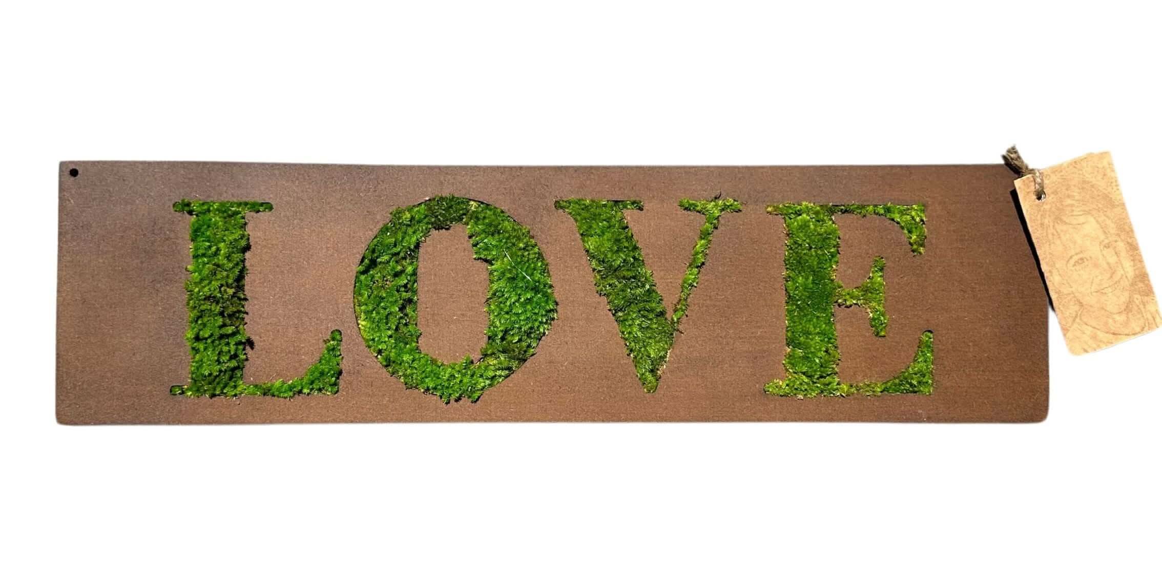 Quadro Rettangolare "Love" muschio stabilizzato