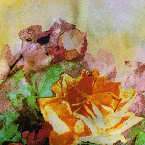 Seidige Schals - Kollektion ’Sommergarten’ 160x50cm Abstrakte Rosen - Seidige Schals - Kollektion ’Sommergarten’