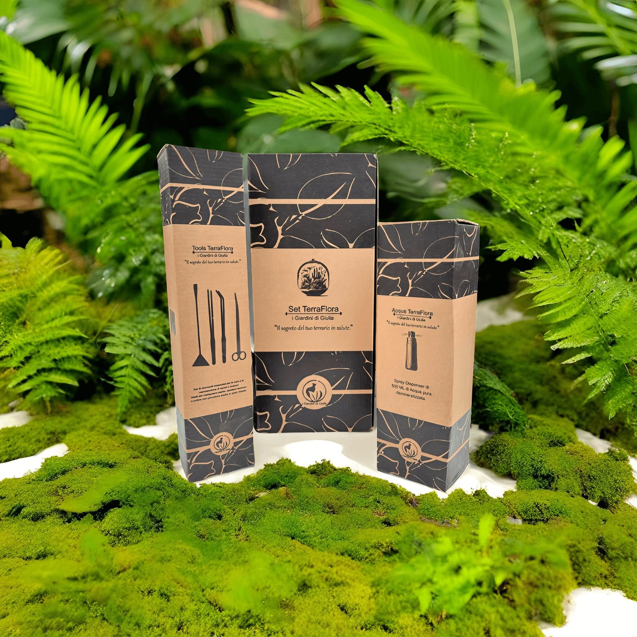 Set completo manutenzione e cura Terrarium TerraFlora Confezione regalo
