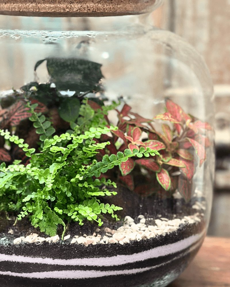 Kit Terrarium Grande Ø18 × 25 cm – Extra, Senza Piante | Made in Italy