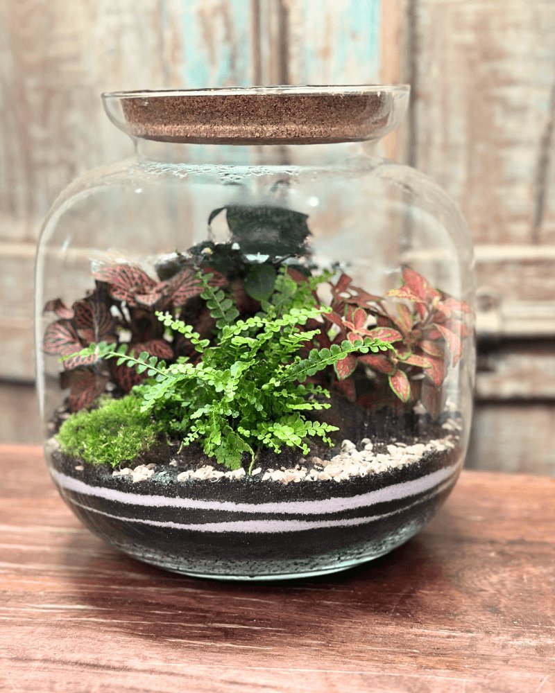 Kit Terrarium Grande Ø18 × 25 cm – Extra, Senza Piante | Made in Italy