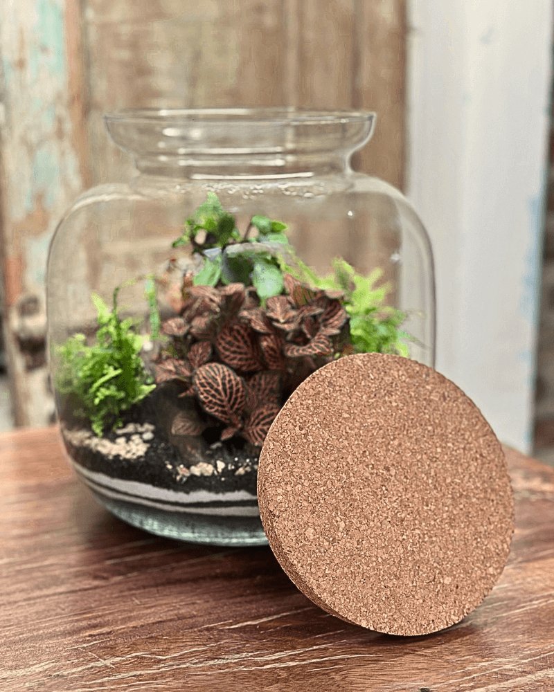 Kit Terrarium Grande Ø18 × 25 cm – Extra, Senza Piante | Made in Italy