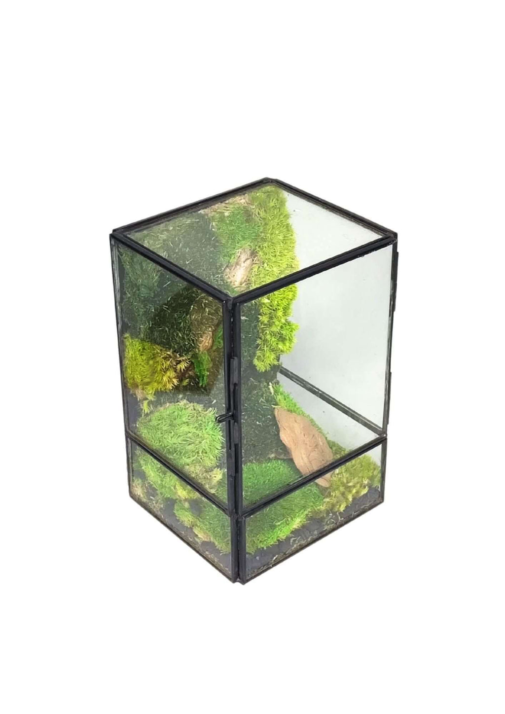 Terrarium geometrico Angolo di Vita 2TR074
