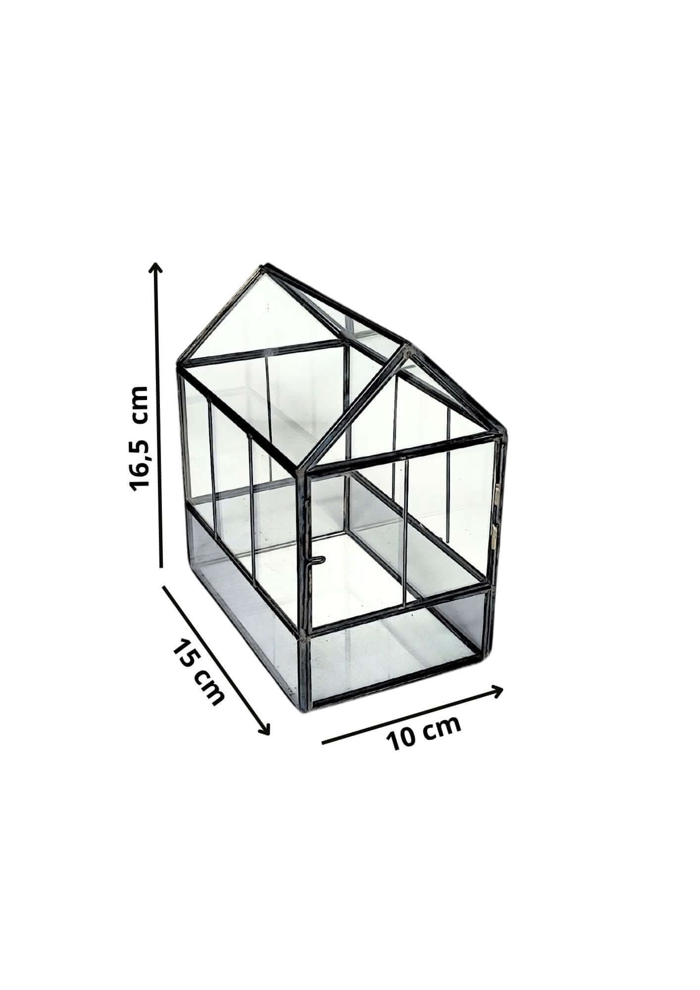 Terrarium geometrico Micro Oasi 2TR062