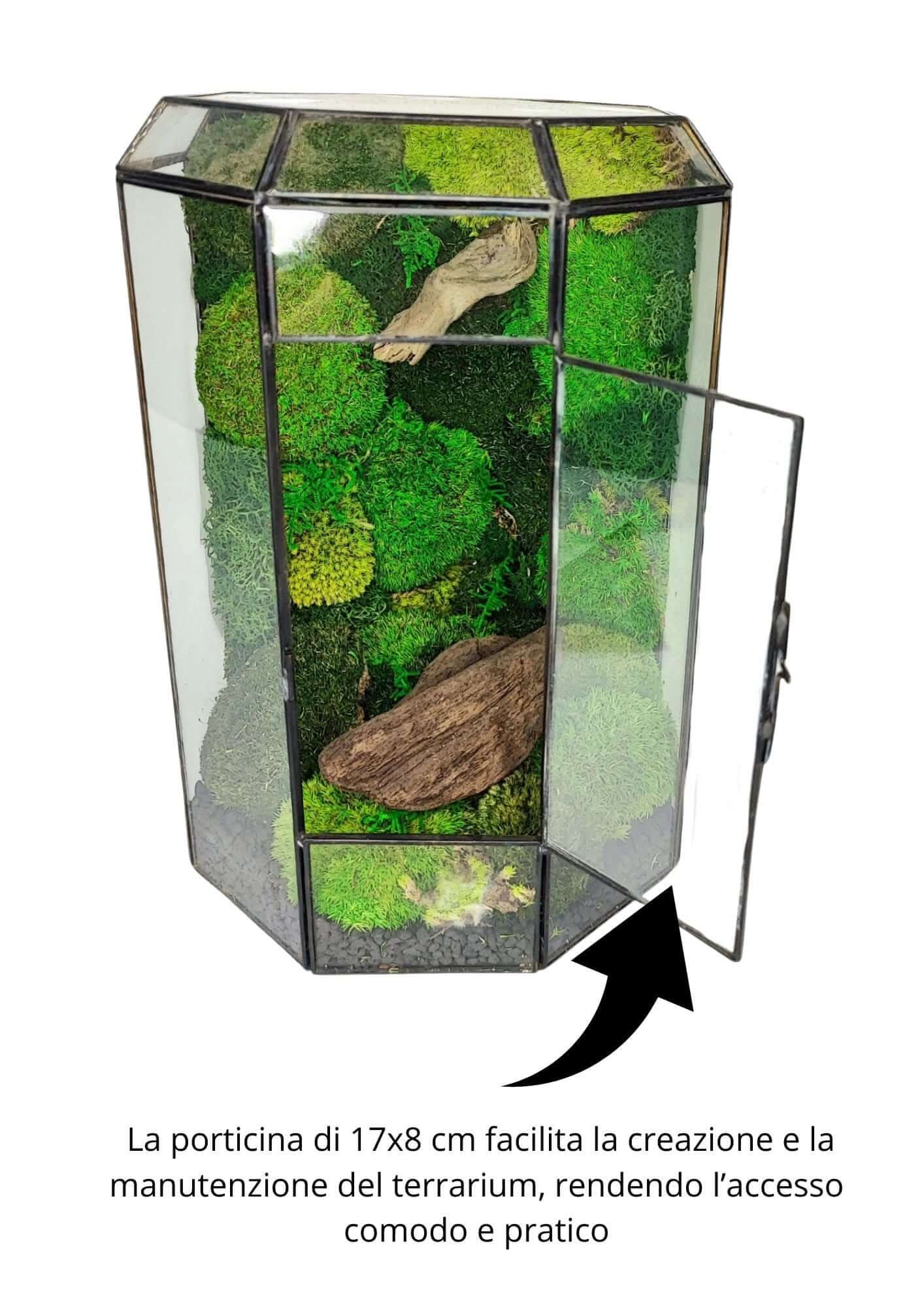 Terrarium geometrico Oasi di Luce 2TR069