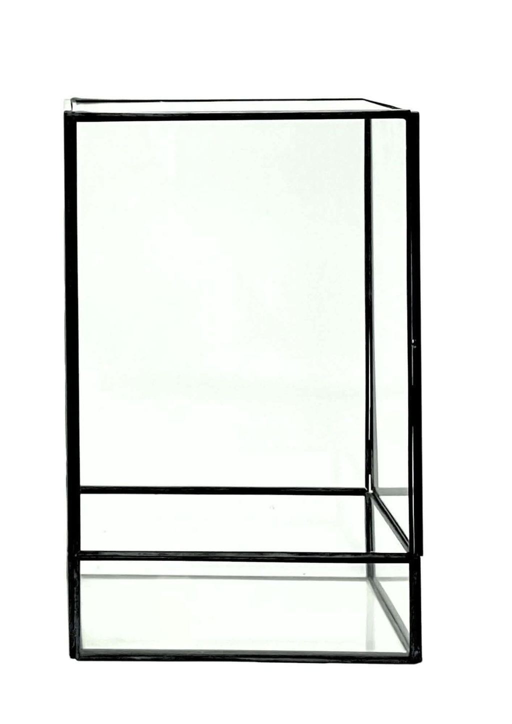 Terrarium geometrico Paradiso Naturale 2TR076