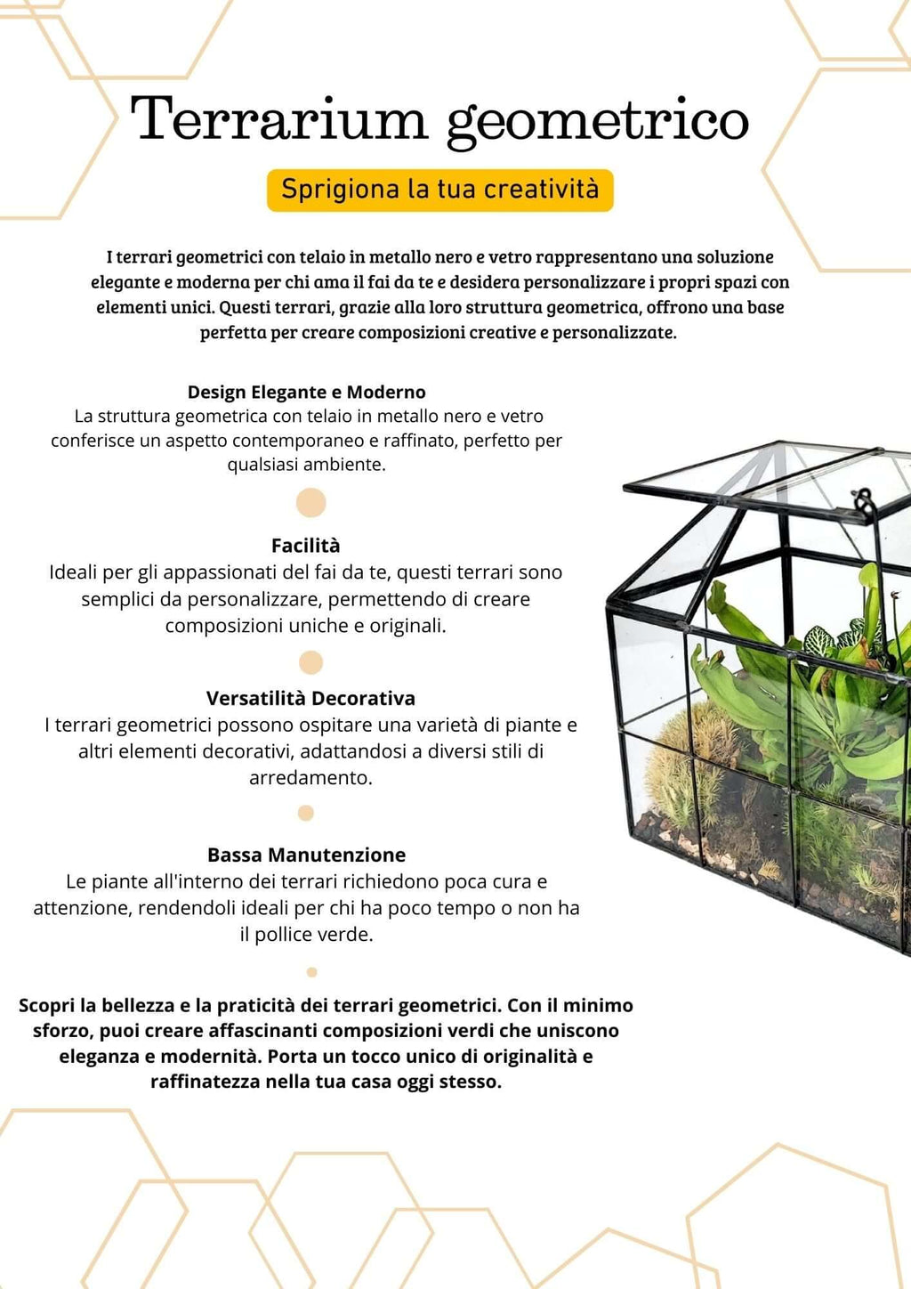 Terrarium geometrico Scrigno della Natura 2TR061