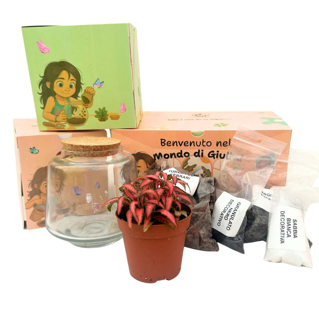 Il Kit Terrarium "Il Mondo di Giulia"